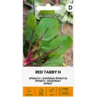 Спанак с червени жилки Red tabby Н