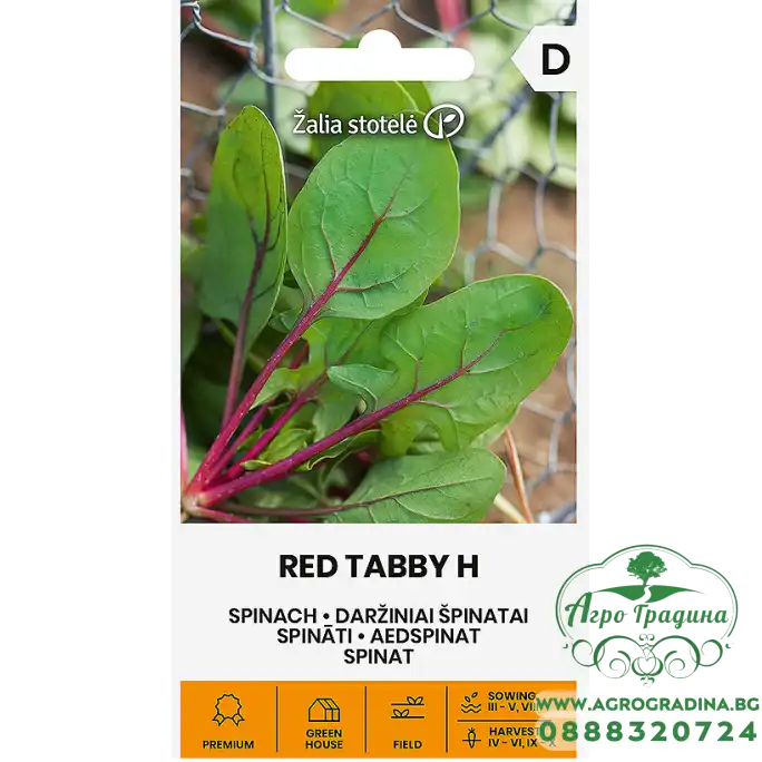 Спанак с червени жилки Red tabby Н