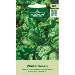 Спанак Зимен гигант Winterriesen