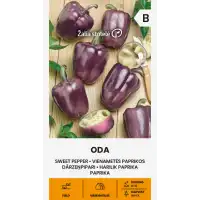 Пипер Ода (лилави камби) Oda