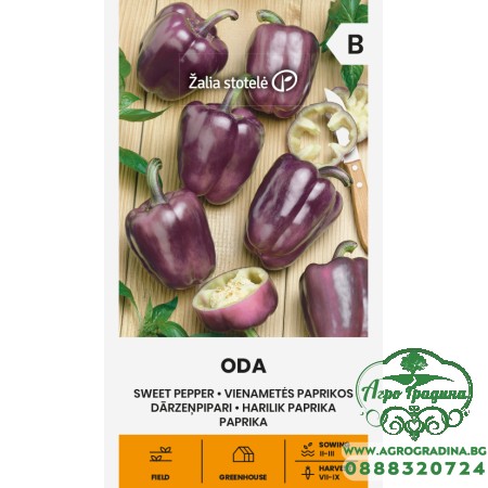 Сладък пипер Ода / Oda