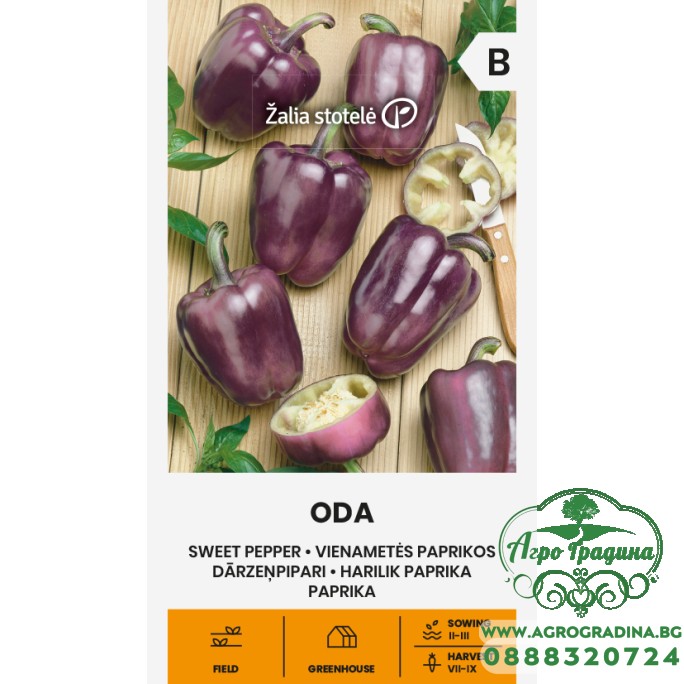 Пипер Ода (лилави камби) Oda