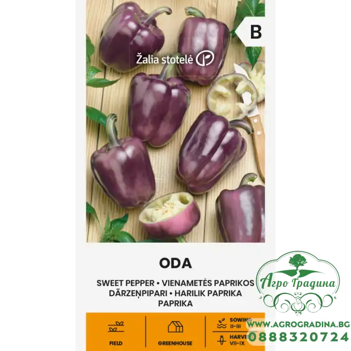 Пипер Ода (лилави камби) Oda