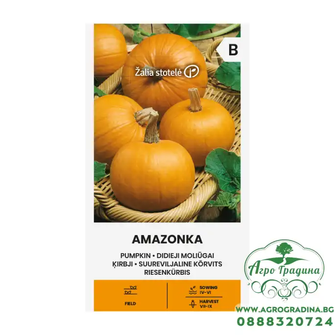 Тиква Амазонка / Amazonka