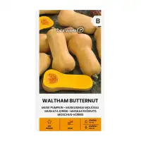 Тиква Бутернут (мускатна) / Waltham Butternut