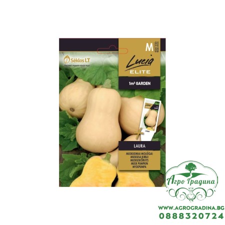 Тиква Мускатна Лаура