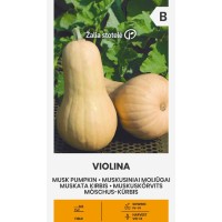 Тиква Мускатна Виолина Violina
