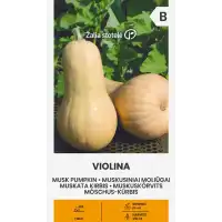 Тиква Мускатна Виолина Violina