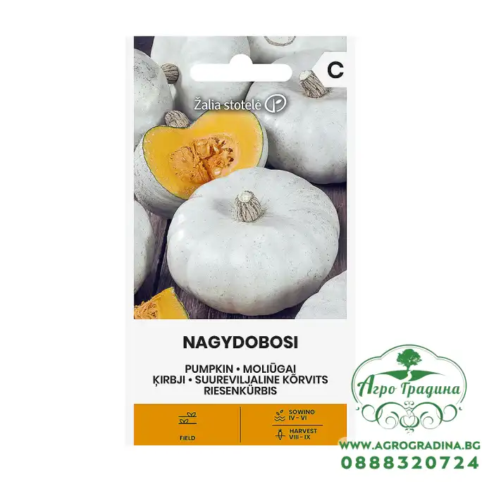 Тиква Nagydobosi Тиква Nagydobosi