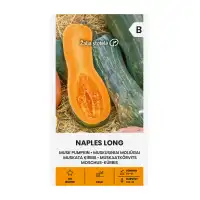 Тиква мускатна Неапол Лонг / Naples Long