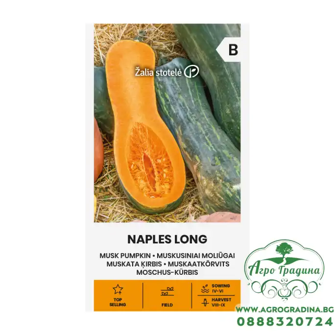 Тиква мускатна Неапол Лонг Naples Long