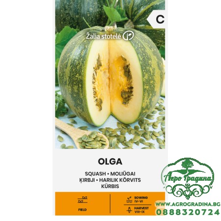 Тиква Олга (с голо семе) / Olga