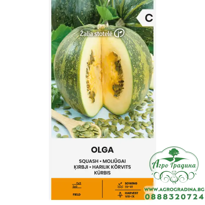 Тиква Олга (с голо семе) / Olga