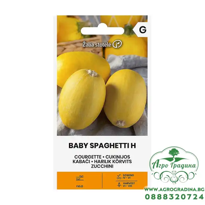 Тиквички Бейби спагети F1  Baby spagetti H