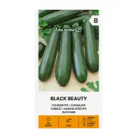 Тиквички Блек Бюти BLACK BEAUTY