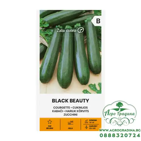 Тиквички Блек Бюти BLACK BEAUTY