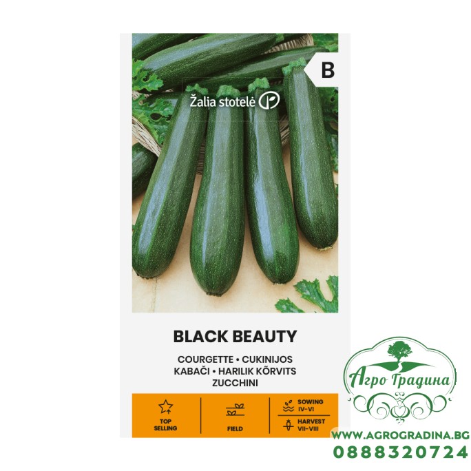 Тиквички Блек Бюти BLACK BEAUTY Тиквички Блек Бюти BLACK BEAUTY