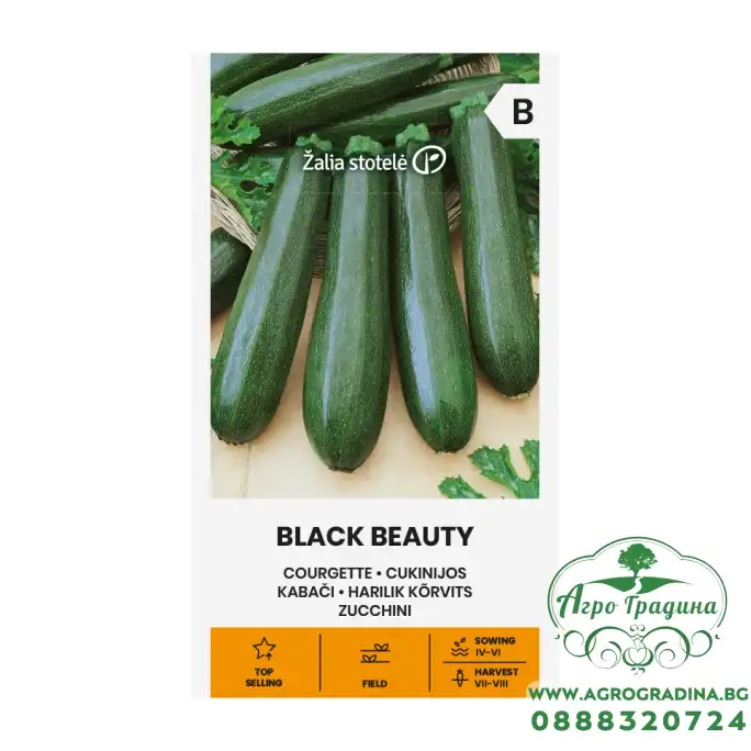 Тиквички Блек Бюти BLACK BEAUTY