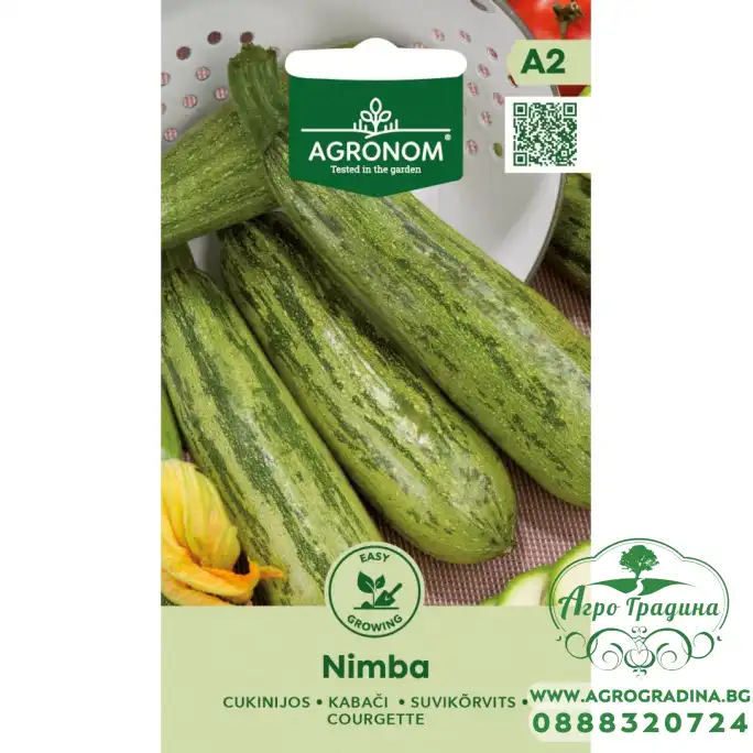 Тиквички Нимба Nimba