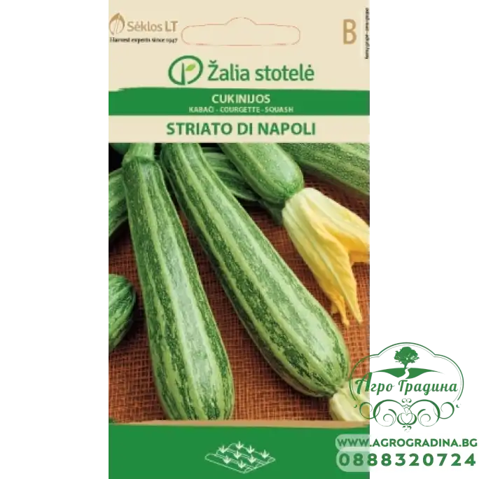 Тиквичка шарена Наполи Striato di Napoli