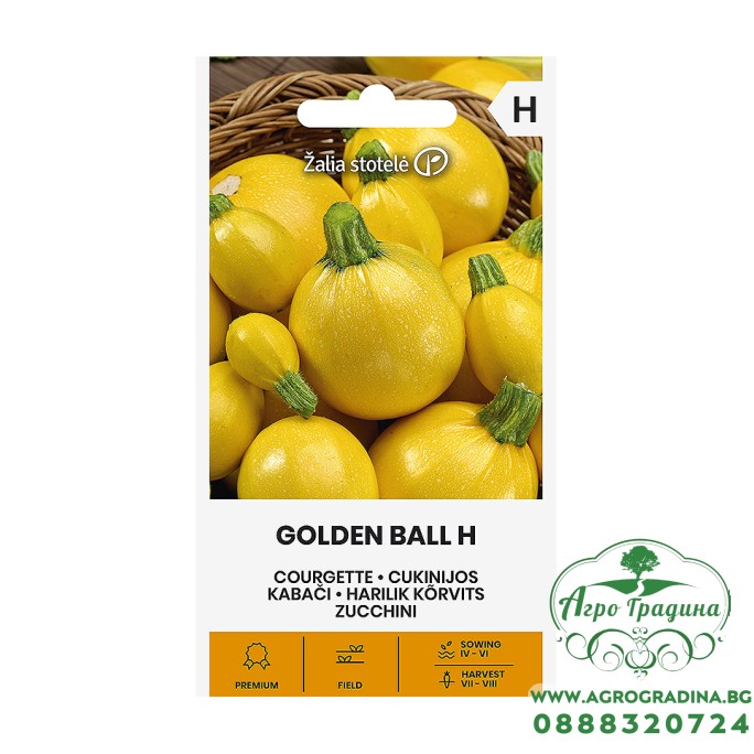 Тиквички Златна Топка F1  Golden ball H