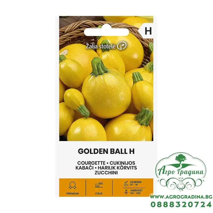 Тиквички Златна Топка F1  Golden ball H