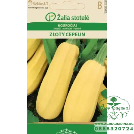 Тиквичка жълта Zloty Cepelin