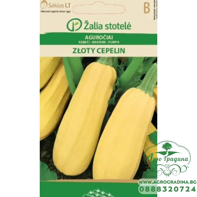 Тиквичка жълта Zloty Cepelin