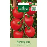 Домат Мънимейкър / Moneymaker
