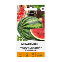 Диня Мегакримсон F1 Megacrimson H