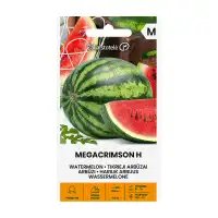 Диня Мегакримсон F1 Megacrimson H