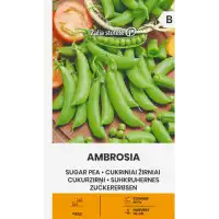 Грах Амброзия (Захарен) Ambrosia