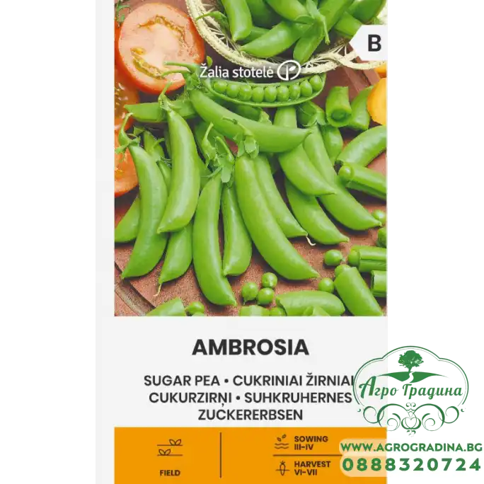 Грах Амброзия (Захарен) Ambrosia Грах Амброзия (Захарен) Ambrosia