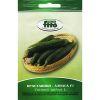 Краставици Алиага F1