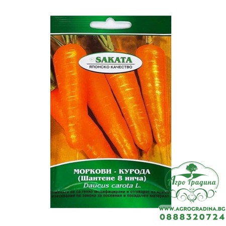 Моркови Курода Шантене 8 инча