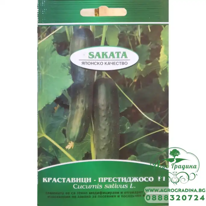 Краставици Престиджосо Со F1