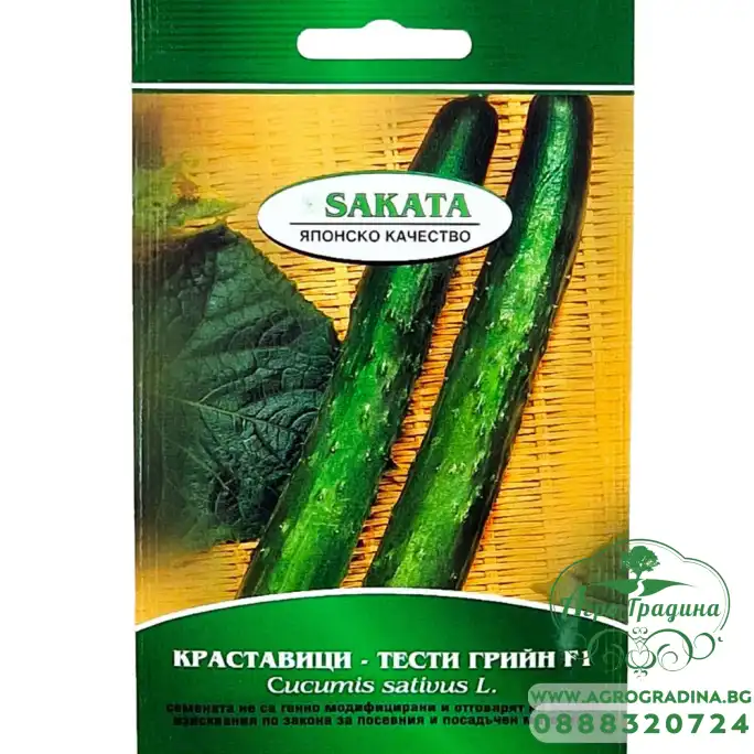 Краставици Тести грийн F1