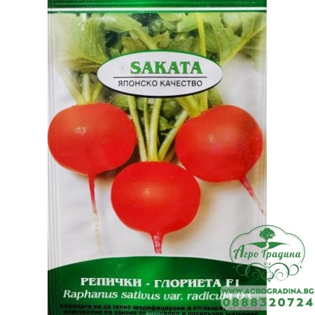 Репички Глориета F1