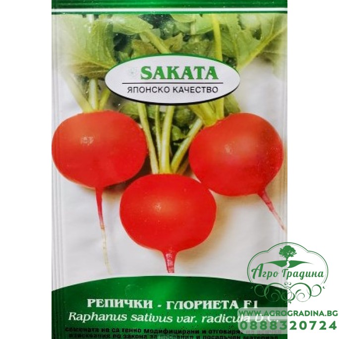 Репички Глориета F1