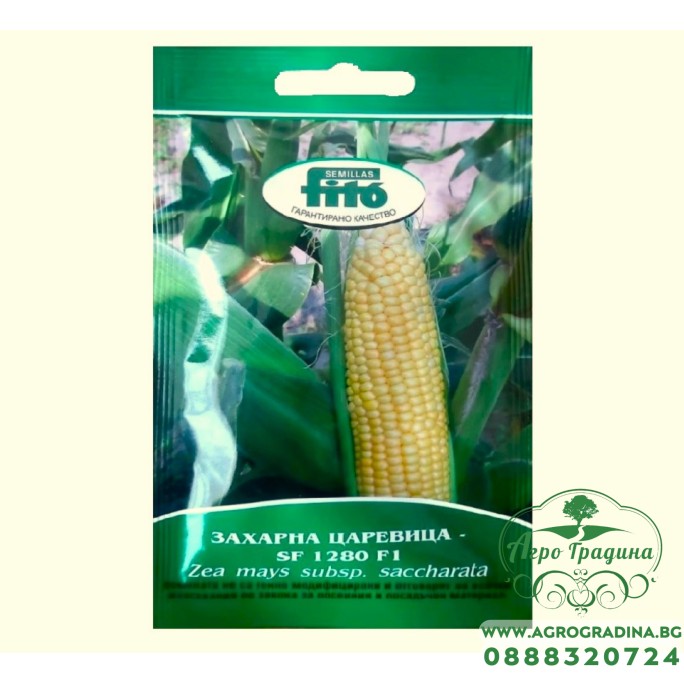 Захарна царевица SF 1280 F1