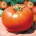 Домати Бобкат F1
