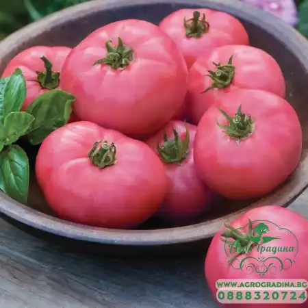 Домати Пинк сън F1