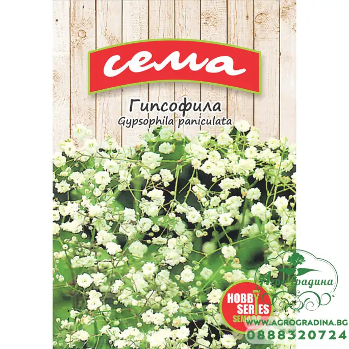Гипсофила Gypsophila paniculata