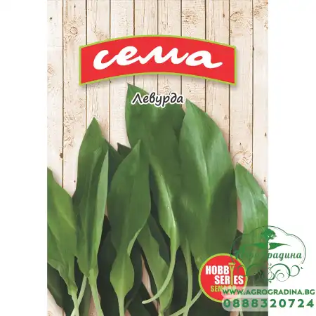 Левурда Allium ursinum