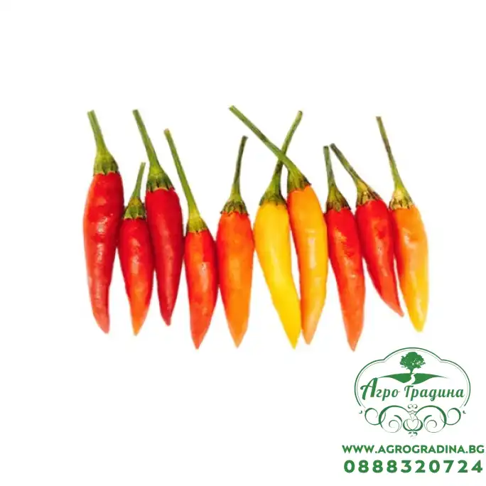 Люти чушки Табаско Tabasco