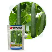 Китайска дълга краставица (Чайна Лонг)