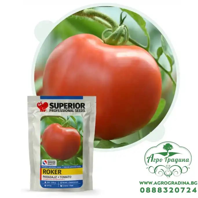 Домат Рокер Домат Рокер