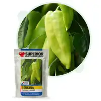 Пипер Ленкина / Lenkina