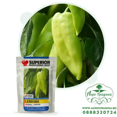 Пипер Ленкина / Lenkina