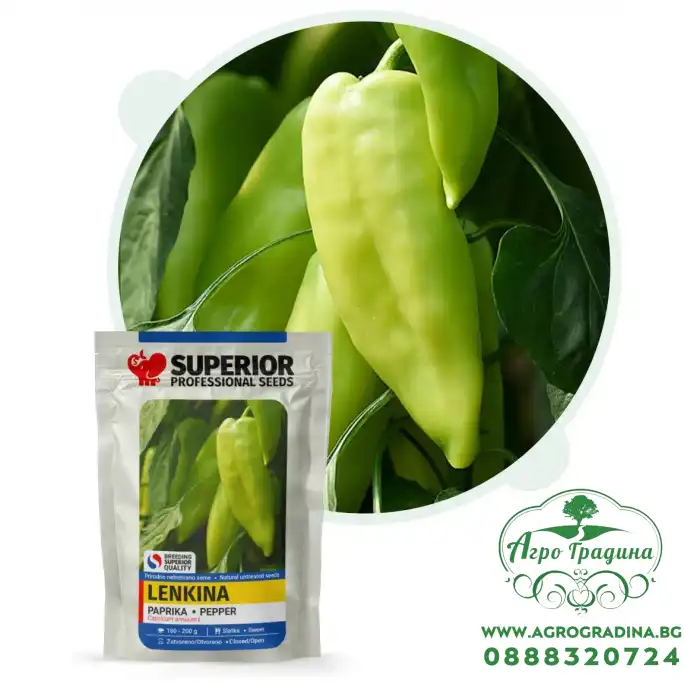 Пипер Ленкина Lenkina